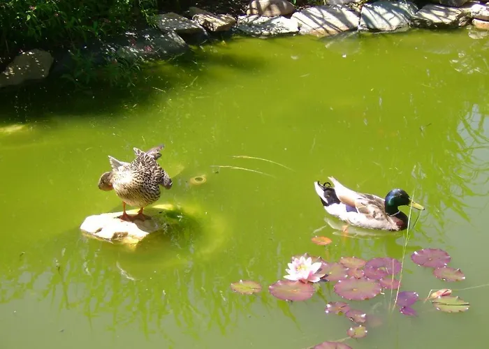 Nocleg ze śniadaniem St. Oswalderhof 3*